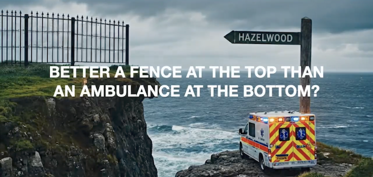 A visual metaphor for proactive governance featuring a fence at the top of a cliff and an ambulance at the bottom, with the text "Better a fence at the top than an ambulance at the bottom?" This image illustrates how advisory boards provide preventative oversight to avoid business crises and ensure long-term stability.